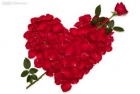�������ǰ����ˣ�