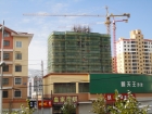 Ϊʲô죿