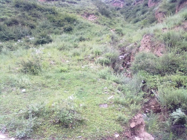 20120726481.jpg
