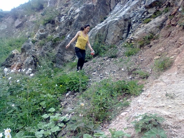 20120726483.jpg