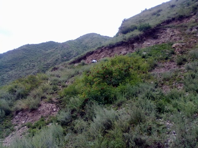 20120726487.jpg