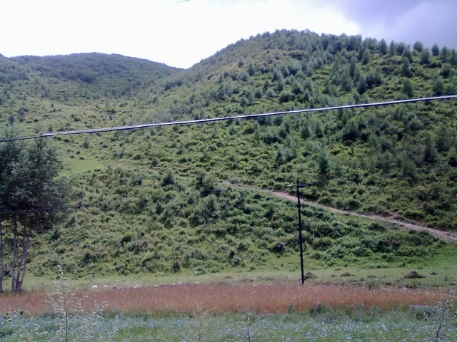20120726491.jpg