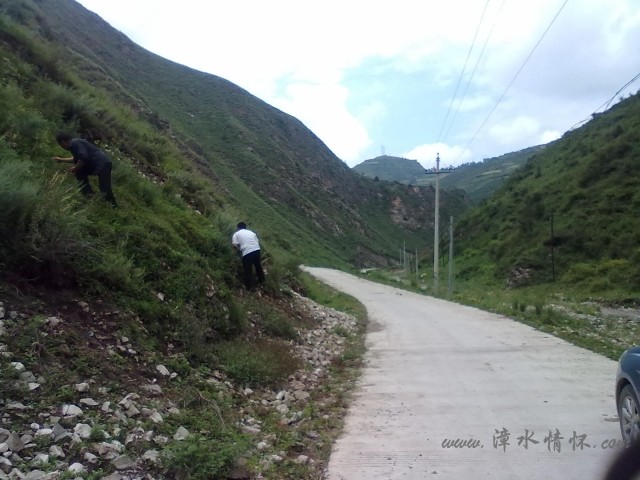 20120726492.jpg