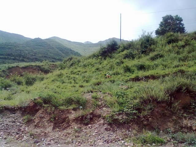 20120726454.jpg