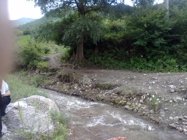 20120726477.jpg