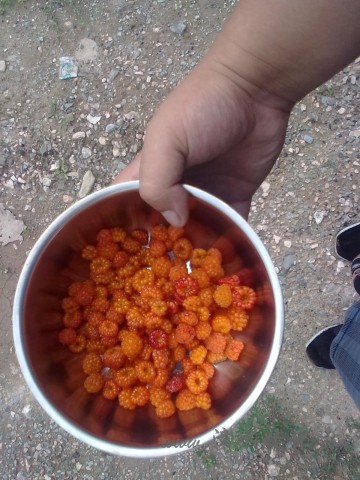 20120726457.jpg