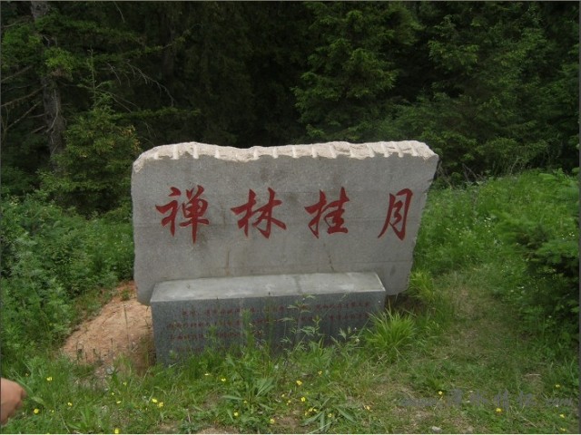 NIXDA}`35ROEE{F1I_H`22Q.jpg