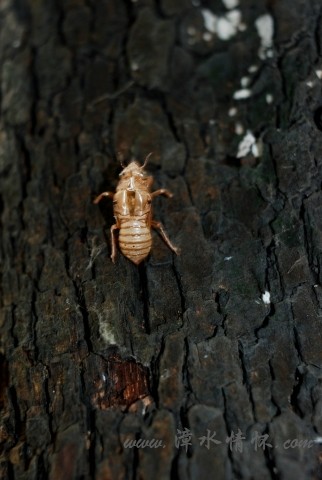 DSC_8188.jpg