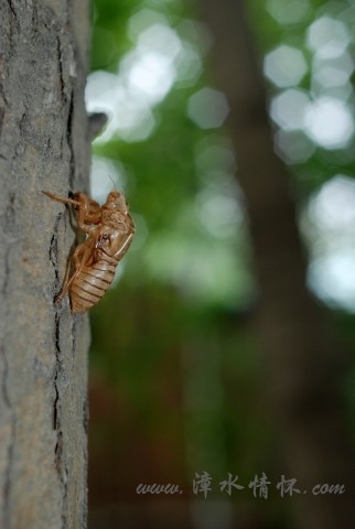 DSC_8195.jpg