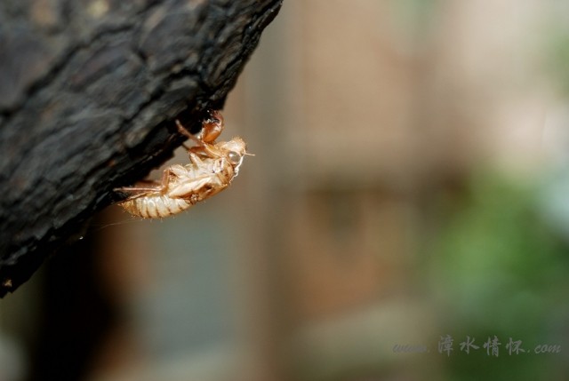 DSC_8205.jpg