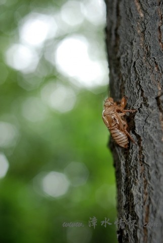 DSC_8216.jpg