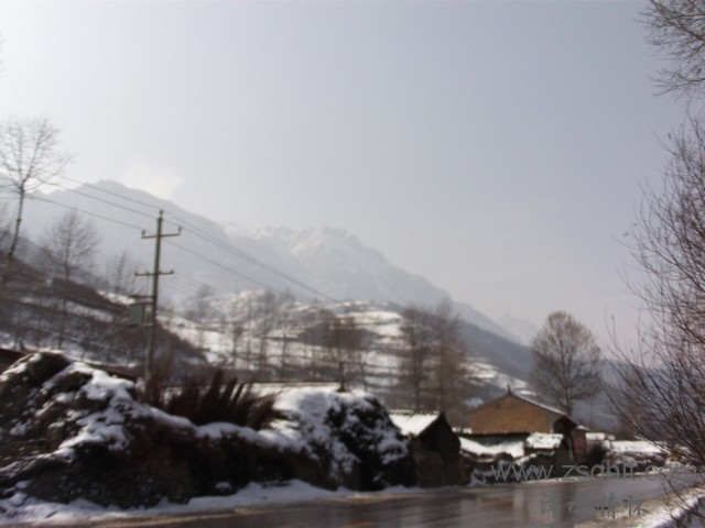 FILE0305.JPG