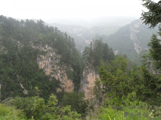 SAM_0445.jpg
