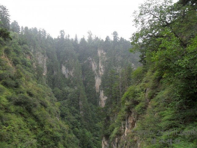 SAM_0452.jpg