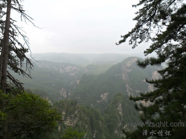 SAM_0474.jpg