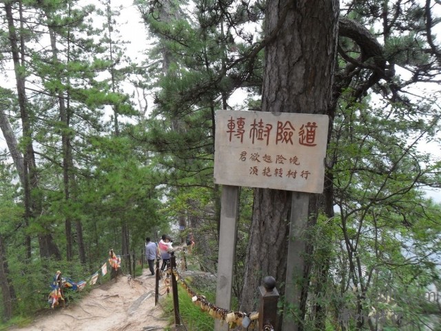 SAM_0475.jpg