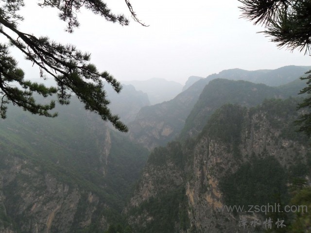 SAM_0479.jpg