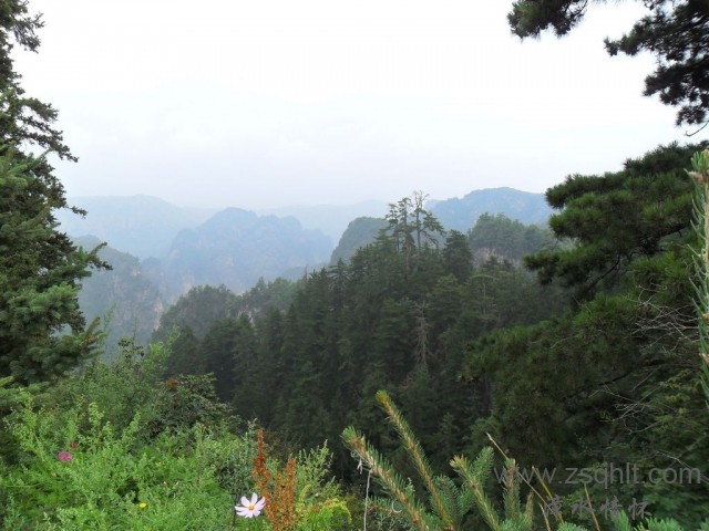 SAM_0497.jpg
