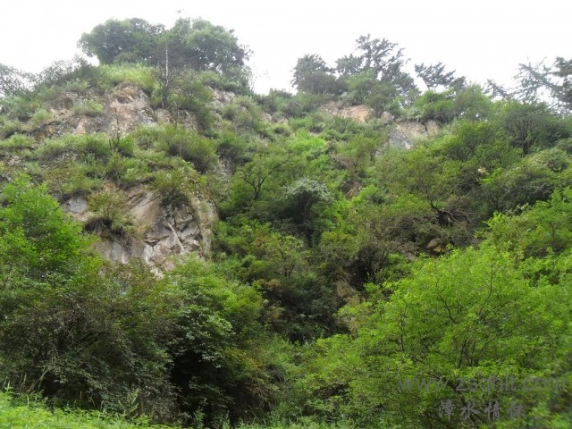 SAM_0506.jpg
