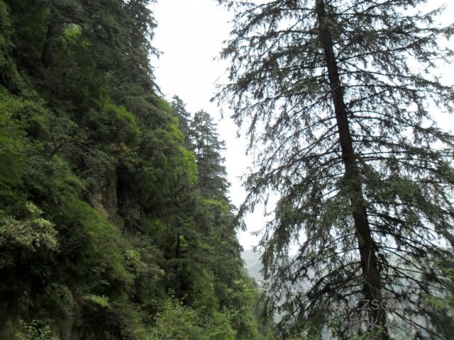 SAM_0507.jpg