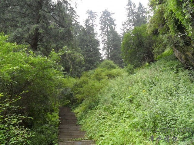 SAM_0508.jpg