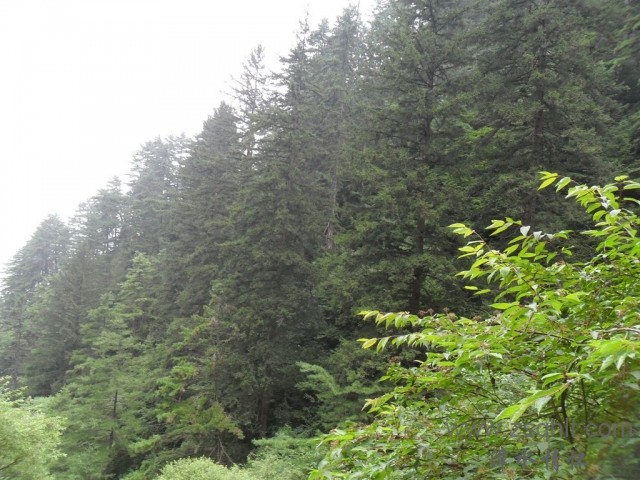 SAM_0509.jpg