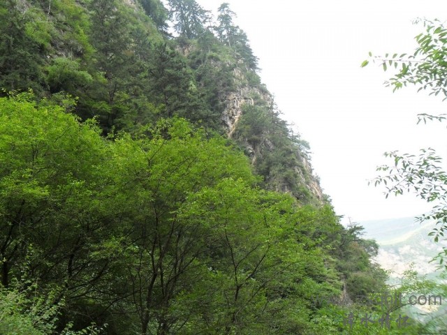 SAM_0511.jpg
