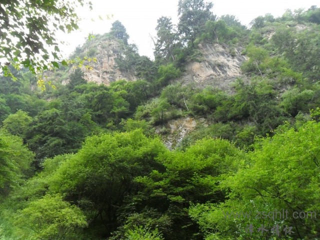 SAM_0512.jpg