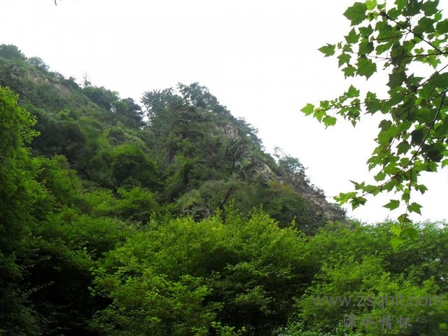SAM_0513.jpg