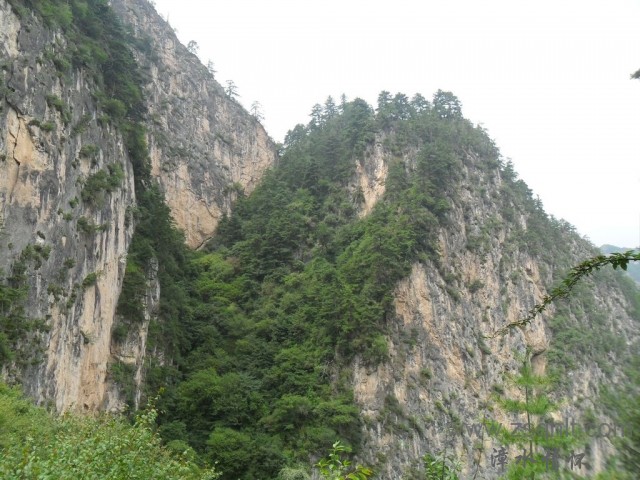 SAM_0517.jpg
