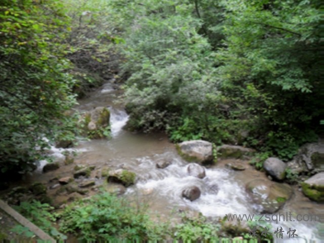 SAM_0537.jpg