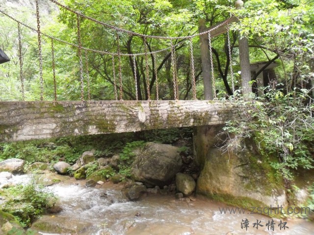 SAM_0538.jpg