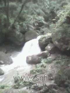 IMG0384A.jpg