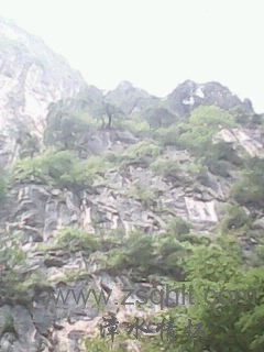 IMG0415A.jpg