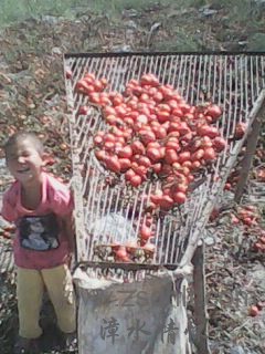 IMG0467A.jpg