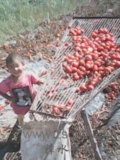 IMG0470A.jpg