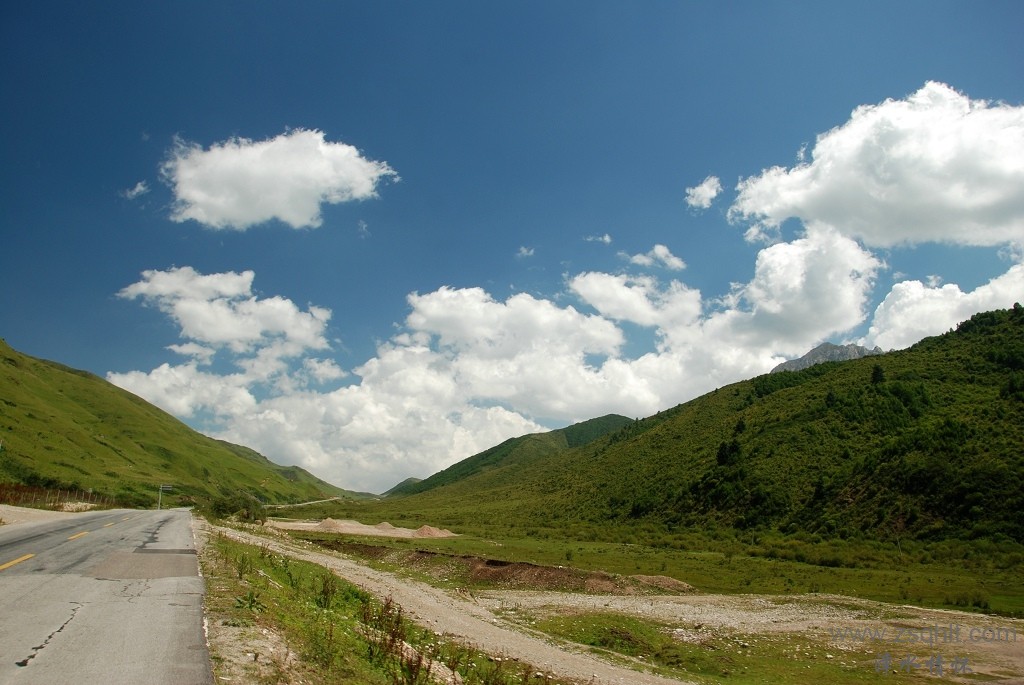 DSC_0330.jpg