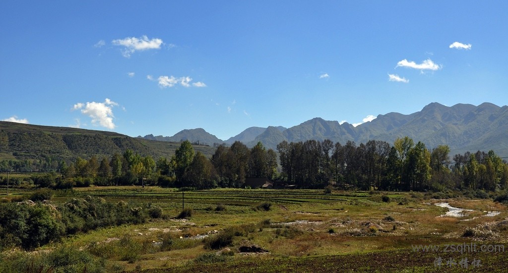 DSC_0513.jpg