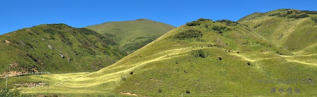 DSC_0572.jpg