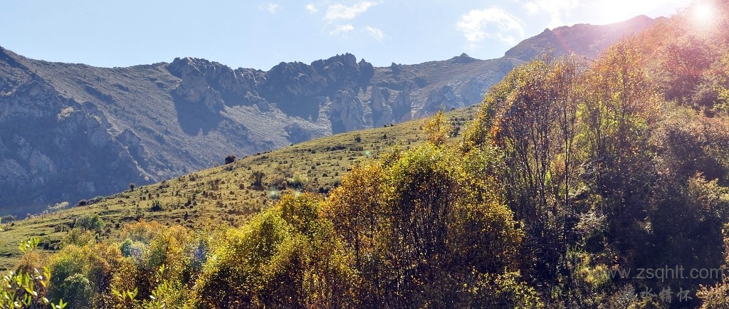 DSC_0623.jpg