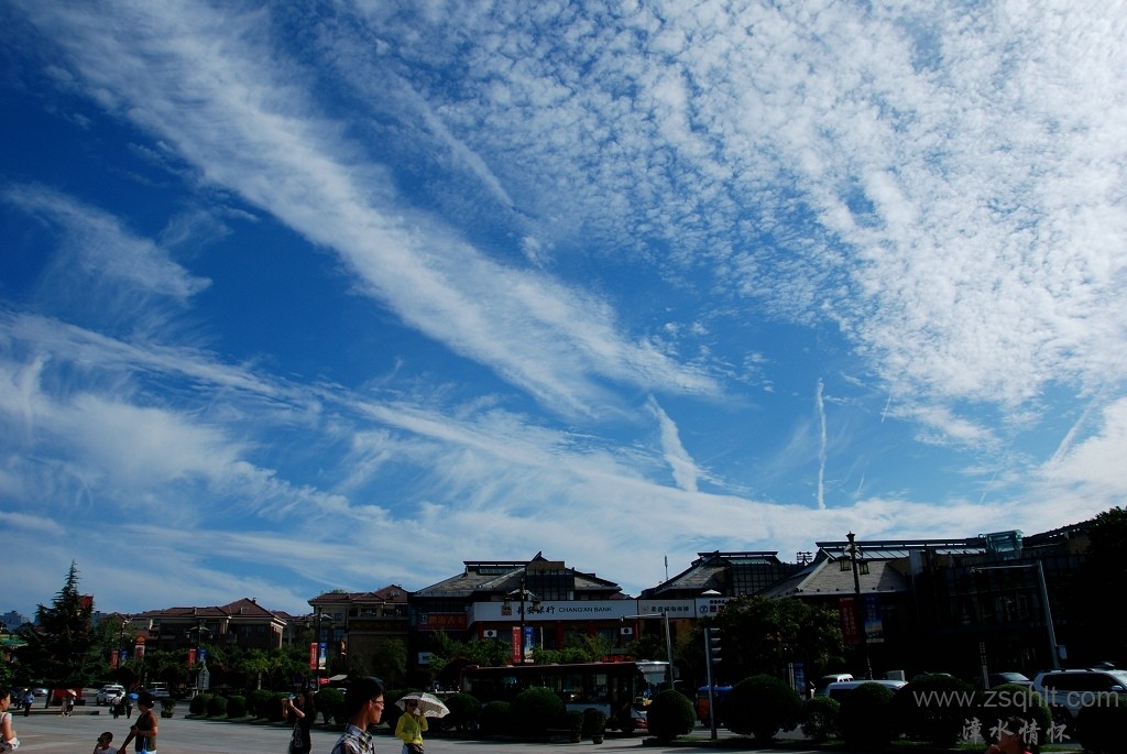 DSC_0827.jpg