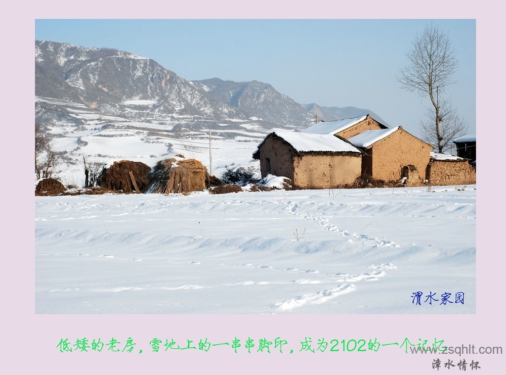 DSC_2116.jpg