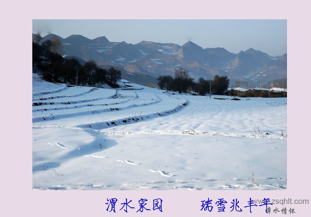 DSC_2168.jpg