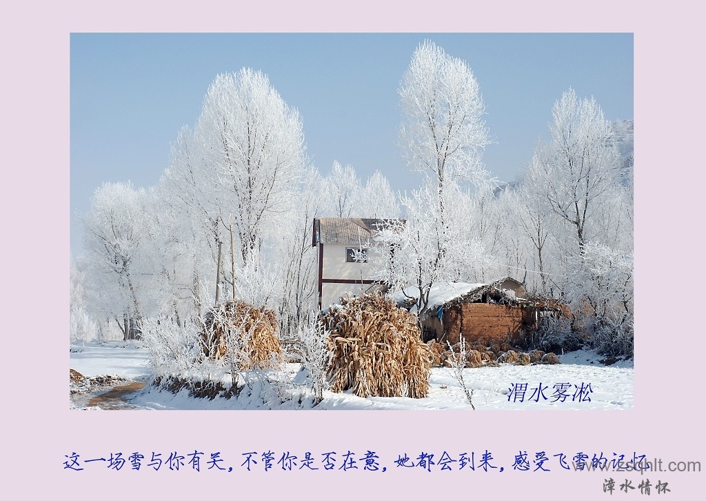 DSC_2685.jpg