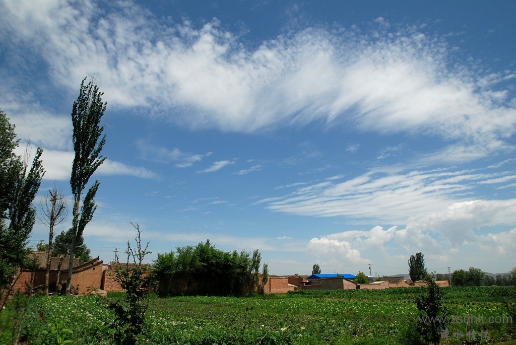DSC_5172.jpg
