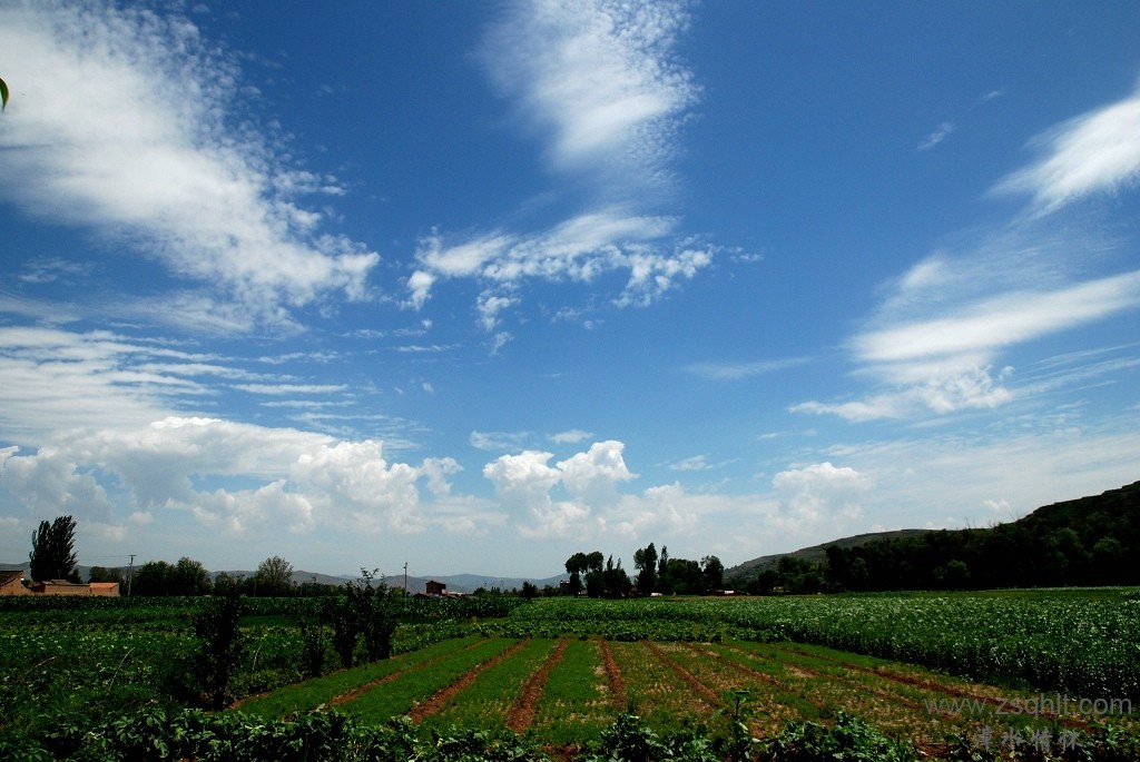 DSC_5173.jpg