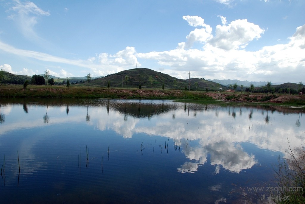 DSC_5405.jpg