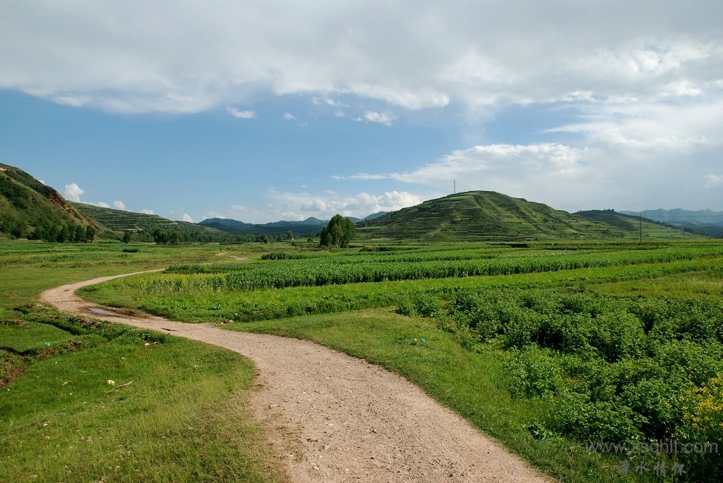 DSC_5541.jpg