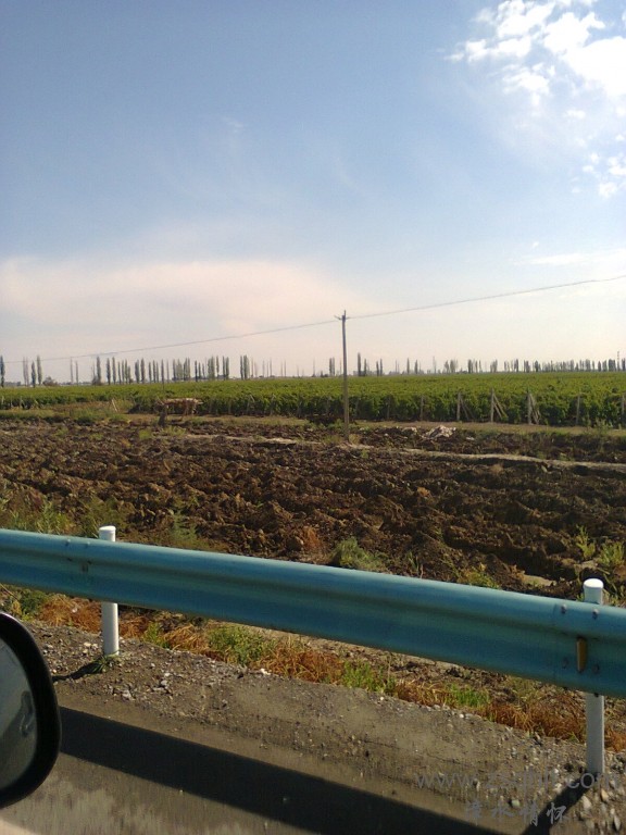 ë޻ 003.jpg