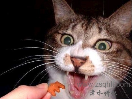 ڵĳԻ